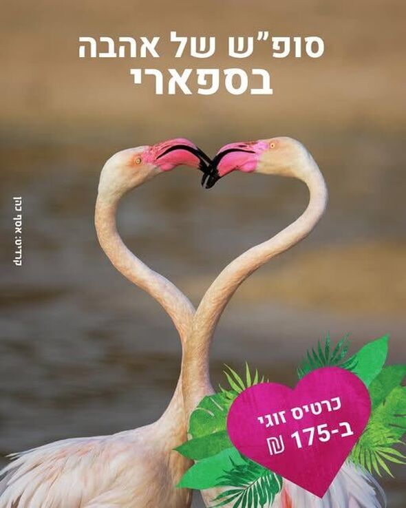 צילום מתוך דף הפייסבוק ספארי רמת גן  Ramat Gan Safari