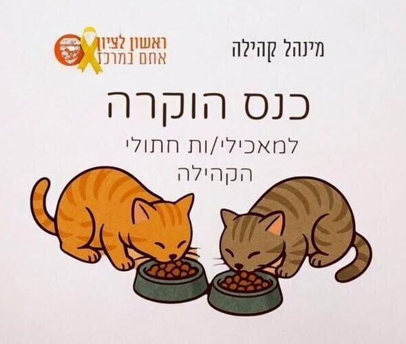 צילום מתוך דף הפייסבוק עמותת ראשון אוהבת חיות