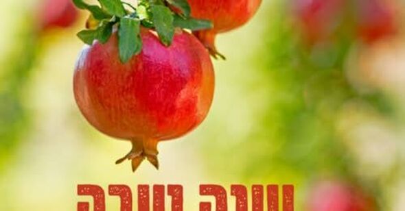 צילום מתוך דף הפייסבוק מעגל נשים חולון טנג'ט חולון