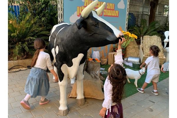 צילום: עיריית חולון ורשת קהילה ופנאי