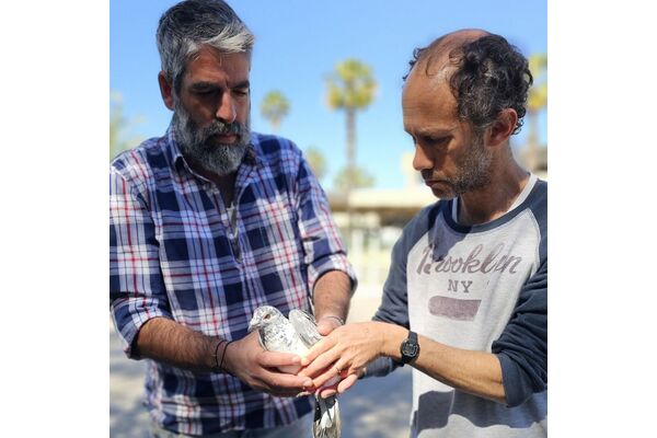 צילום מתוך דף הפייסבוק מוזיאון ארץ-ישראל, תל-אביב