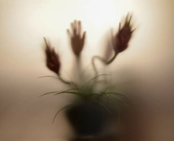 צילום מתוך דף הפייסבוק מוזיאון רמת גן לאמנות ישראלית