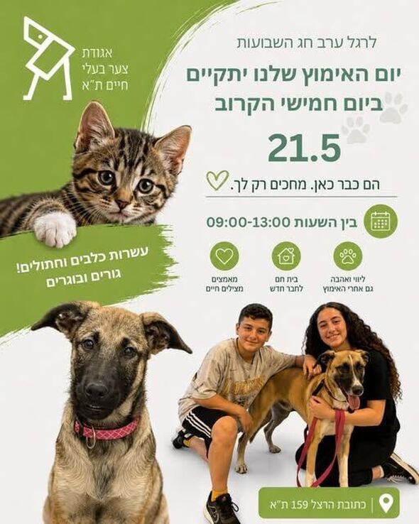 צילום מתוך דף הפייסבוק אגודת צער בעלי חיים בישראל - תל אביב