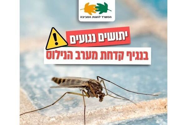 צילום: אבי כהן