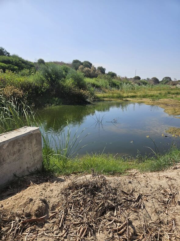 קרדיט: עובדי איכות הסביבה עיריית ראשון לציון