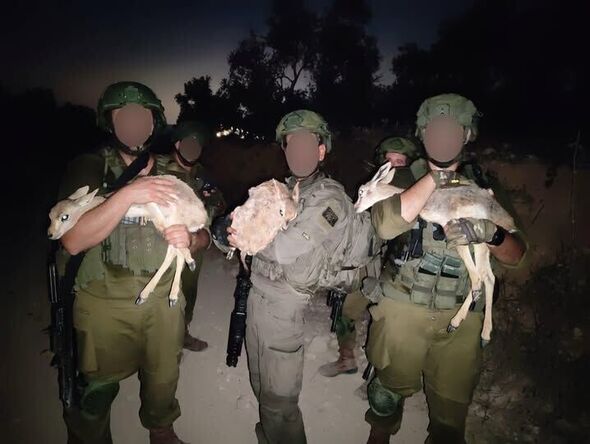 צילום:קרדיט צילום: אבי יעקובסון