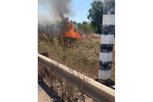 צילום דוברות מכבי האש