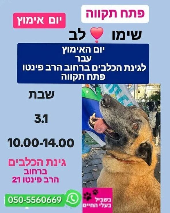 צילום מתוך דף הפייסבוק צדוק בן משה - סגן ראש העיר פ"ת