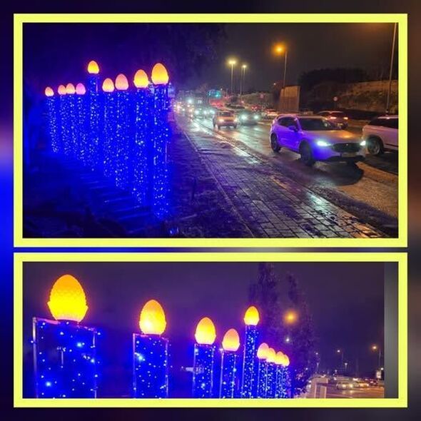 צילום מתוך דף הפייסבוק רמי גרינברג