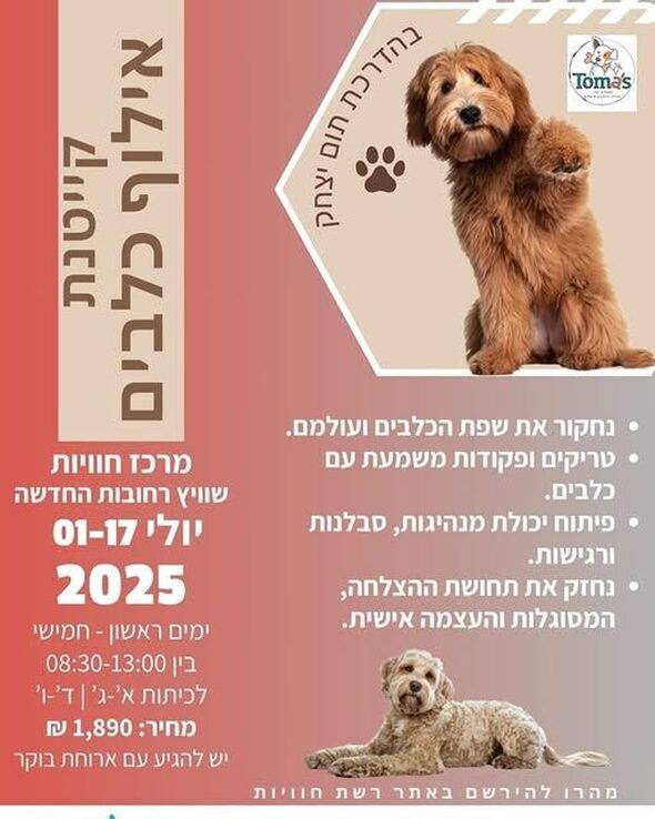 צילום מתוך דף הפייסבוק חוויות רחובות החדשה -שוויץ