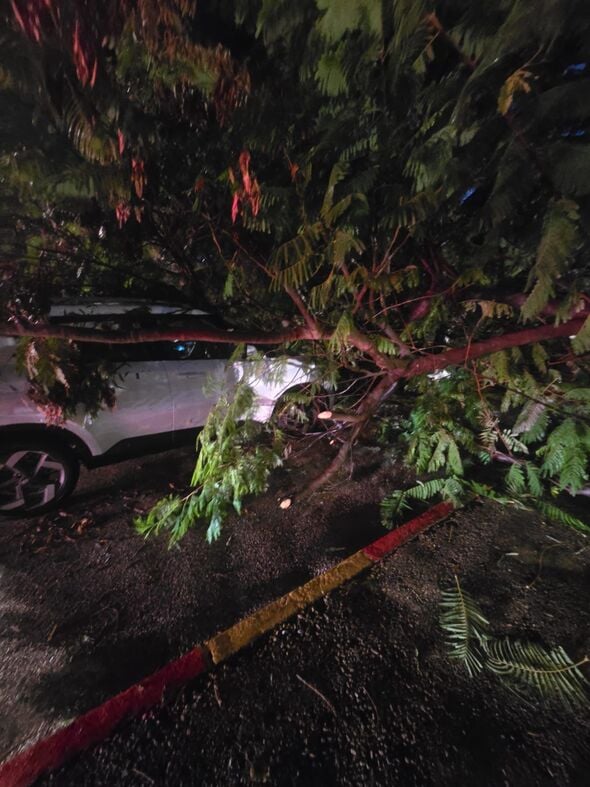 תיעוד מבצעי מד"א