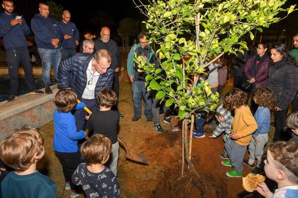 צילום: כפיר סיון
