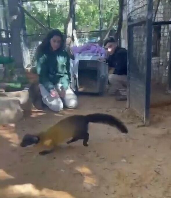 צילום מתוך דף הפייסבוק חי-כיף, גן החיות ראשון לציון