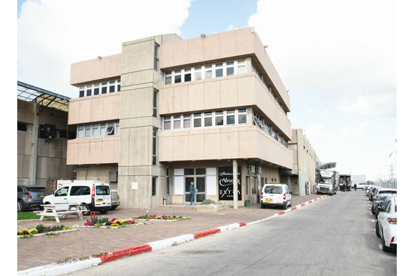 צילום: שירה רז