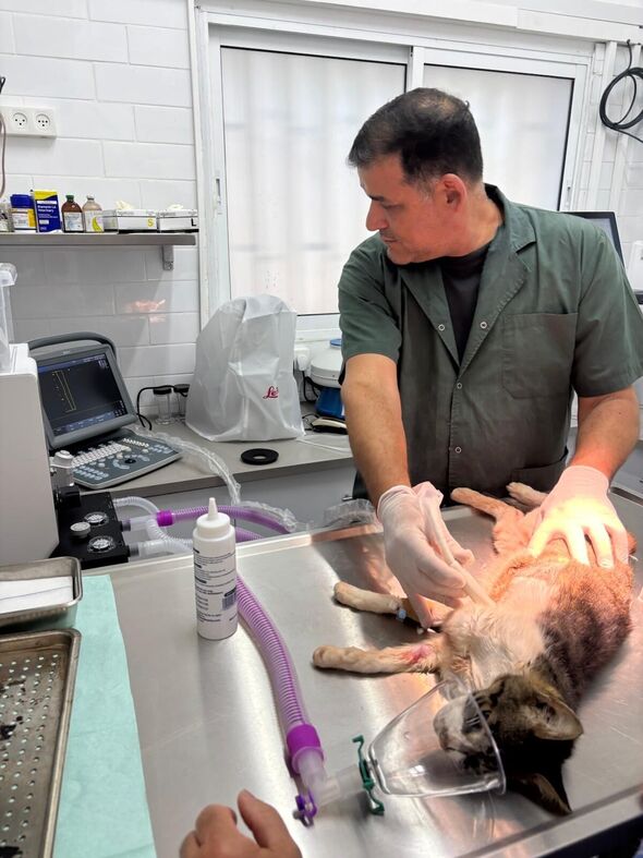 צילום מתוך דף הפייסבוק רון חולדאי