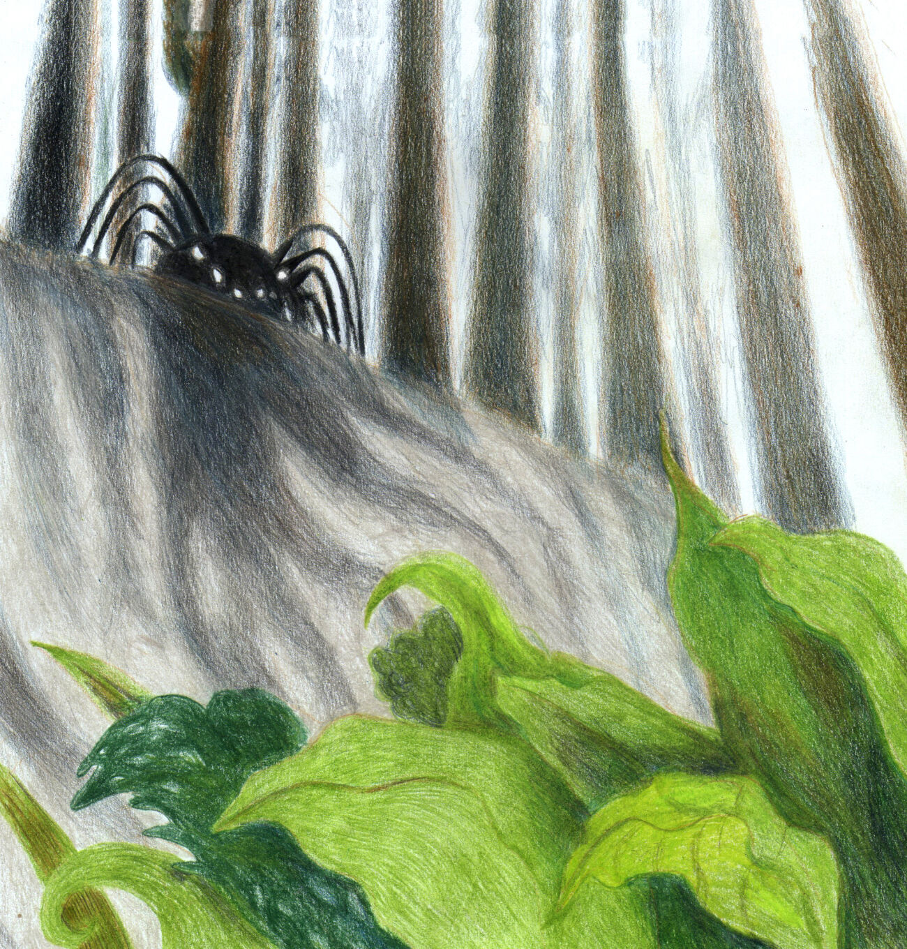 מעיין גלילי