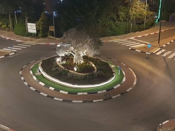 צילום מתוך דף הפייסבוק רמי גרינברג