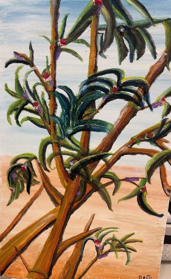 צילום מתוך דף הפייסבוק הקאנטרי נס ציונה