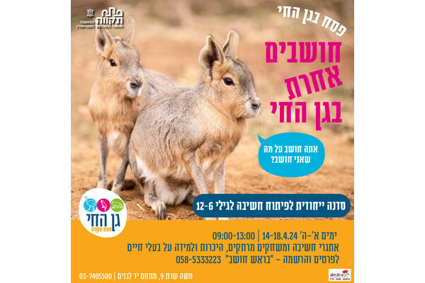 צילום מתוך דף הפייסבוק גן החי פתח תקווה