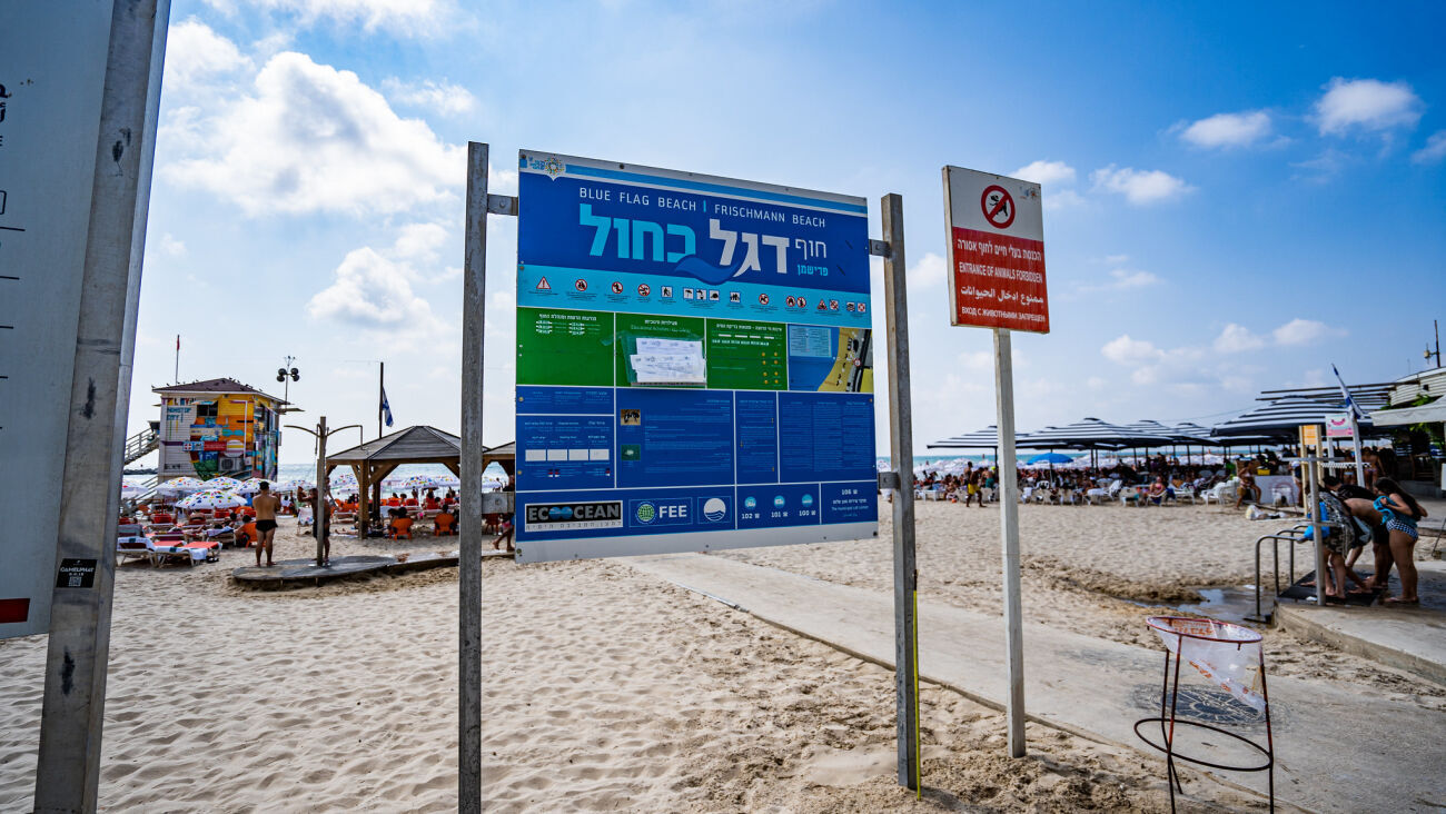 קרדיט באדיבות עיריית תל אביב-יפו קרדיט באדיבות עיריית תל אביב-יפו