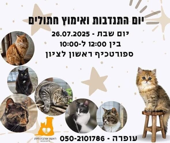 צילום מתוך דף הפייסבוק עמותת ראשון אוהבת חיות