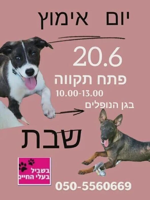 צילום מתוך דף הפייסבוק צדוק בן משה - סגן ראש העיר פ"ת