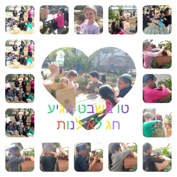 צילום מתוך דף הפייסבוק בית ספר חמ"ד כנפי אבירים יבנה