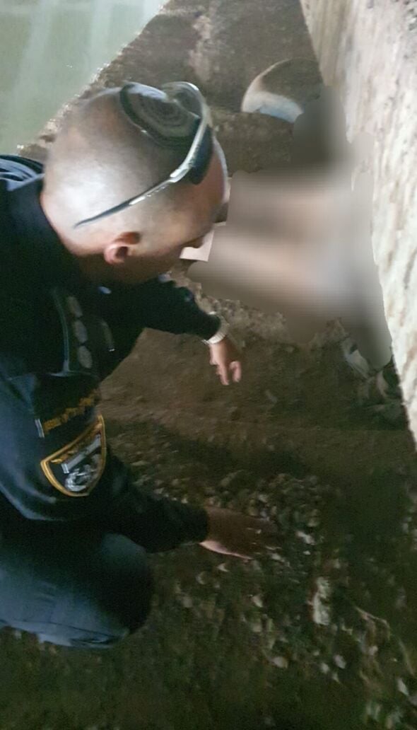 דוברות המשטרה