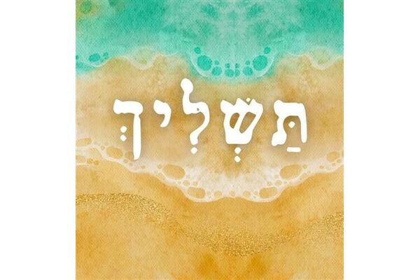 צילומים: תשליך - סדו פראלטה שביט