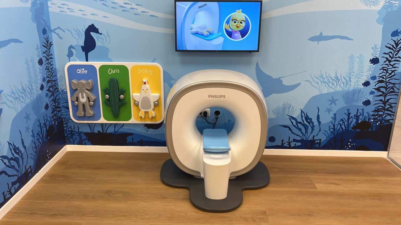 קרדית צילום - דוברות מאוחדת