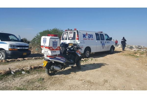 תמונות אילוסטרציה