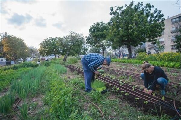 צילומים: אילו ספרא ודין אהרוני רולנד