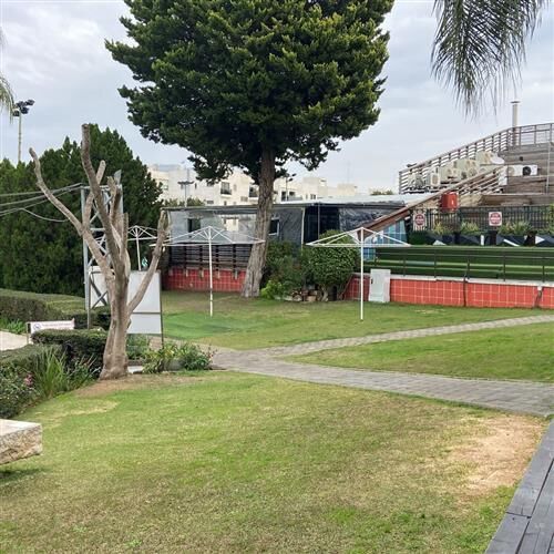 צילום: יוני כהן צילום: יוני כהן