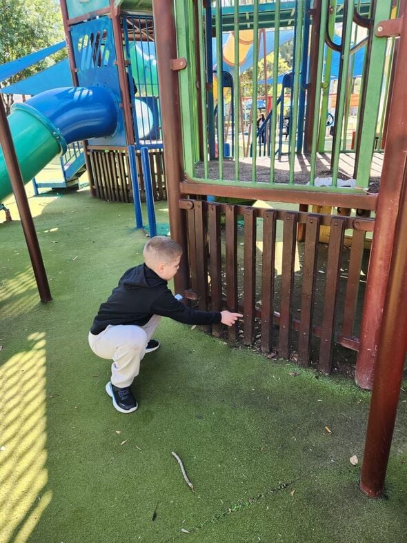 צילום מתוך דף הפייסבוק בית ספר " יצחק שמיר" חולון