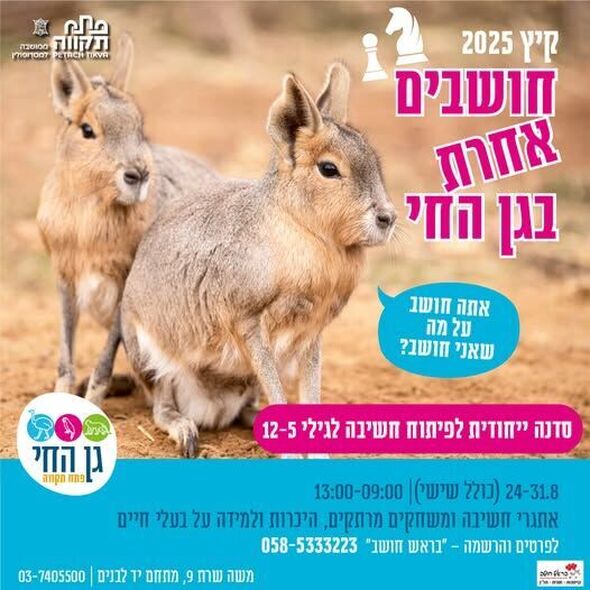 צילום מתוך דף הפייסבוק עיריית פתח תקווה