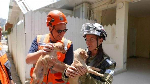 קרדיט: ואדים אקשן