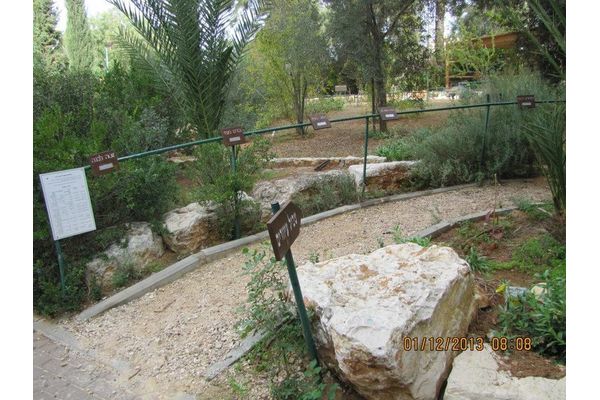 צילומים מתוך אתר הגן
