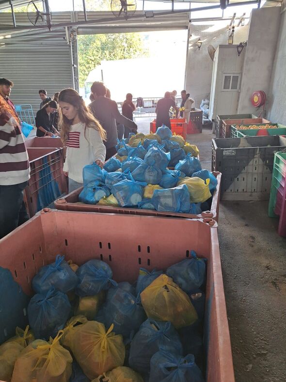 צילום: מכינה קדם צבאית בינ"ה