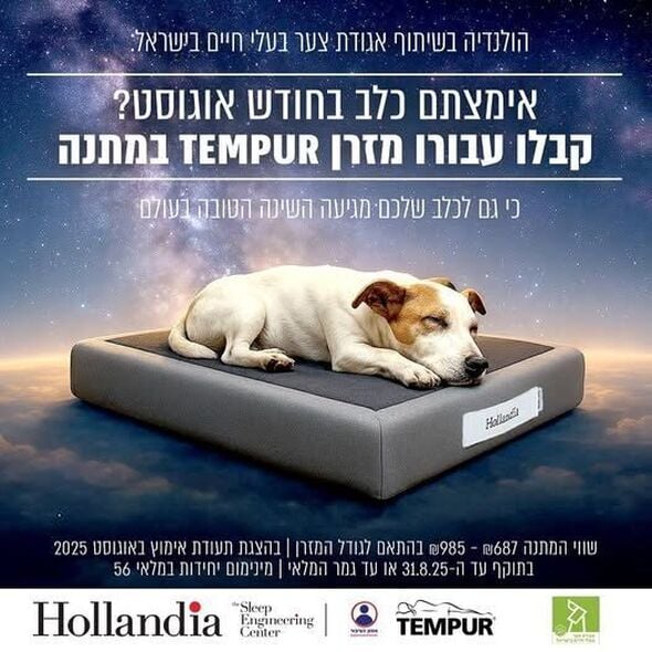 צילום אגודת צער בעלי חיים בישראל - תל אביב