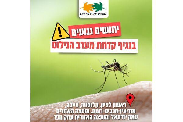 צילום: איתי לחמי, רט"ג