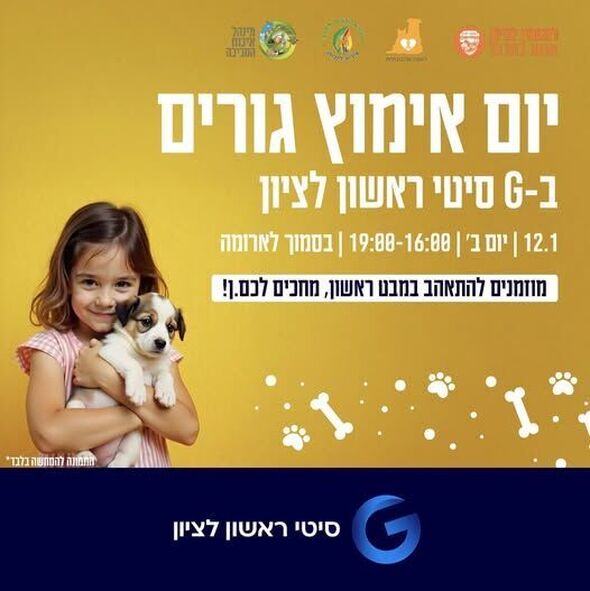 צילום מתוך דף הפייסבוק עמותת ראשון אוהבת חיות