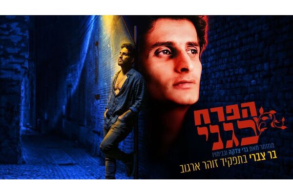 צילום:קרדיט צילום: יוסי צבקר