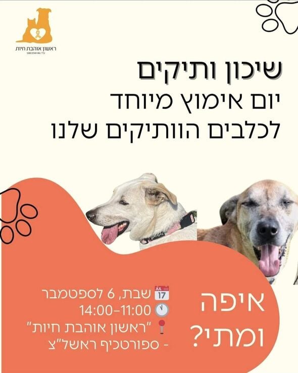 צילום מתוך דף הפייסבוק עמותת ראשון אוהבת חיות