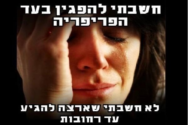 בכתבה - צילומי כרזות של מארגני ההפגנה