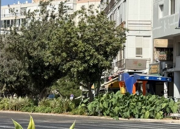 צילום מתוך דף הפייסבוק רן קוניק העמוד הרשמי