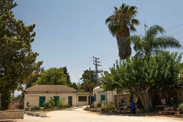 צילום: נתי תורג'מן