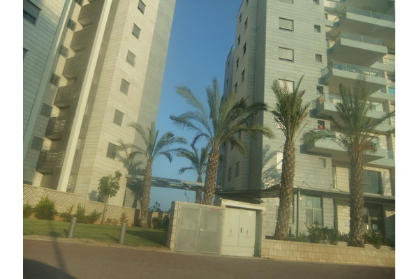 תמונת אילוסטרציה