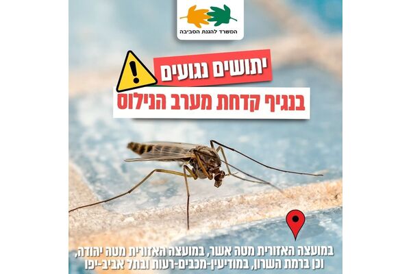 צילום מתוך דף הפייסבוק המשרד להגנת הסביבה