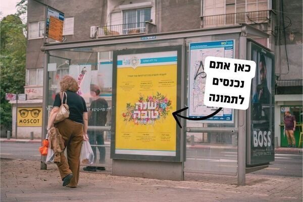 צילום:אילן ספירא