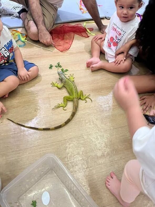 צילום מתוך דף הפייסבוק צדוק בן משה - סגן ראש העיר פ"ת